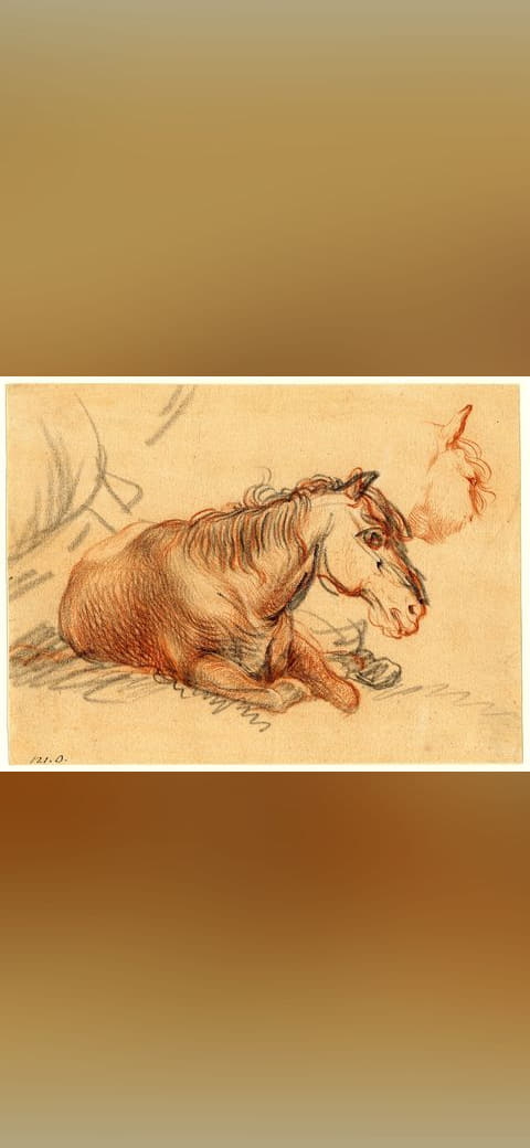 Rembrandt - Attributed to - A horse lying down;… wallpaper in blush and blush tones, Full HD, 4:3 format for phone
