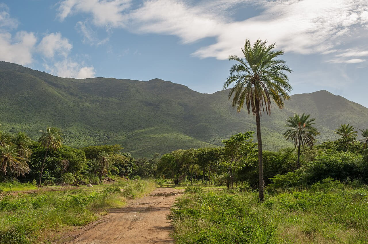 San Juan Valley wallpaper in olive and olive tones, Full HD, 4:3 format for desktop