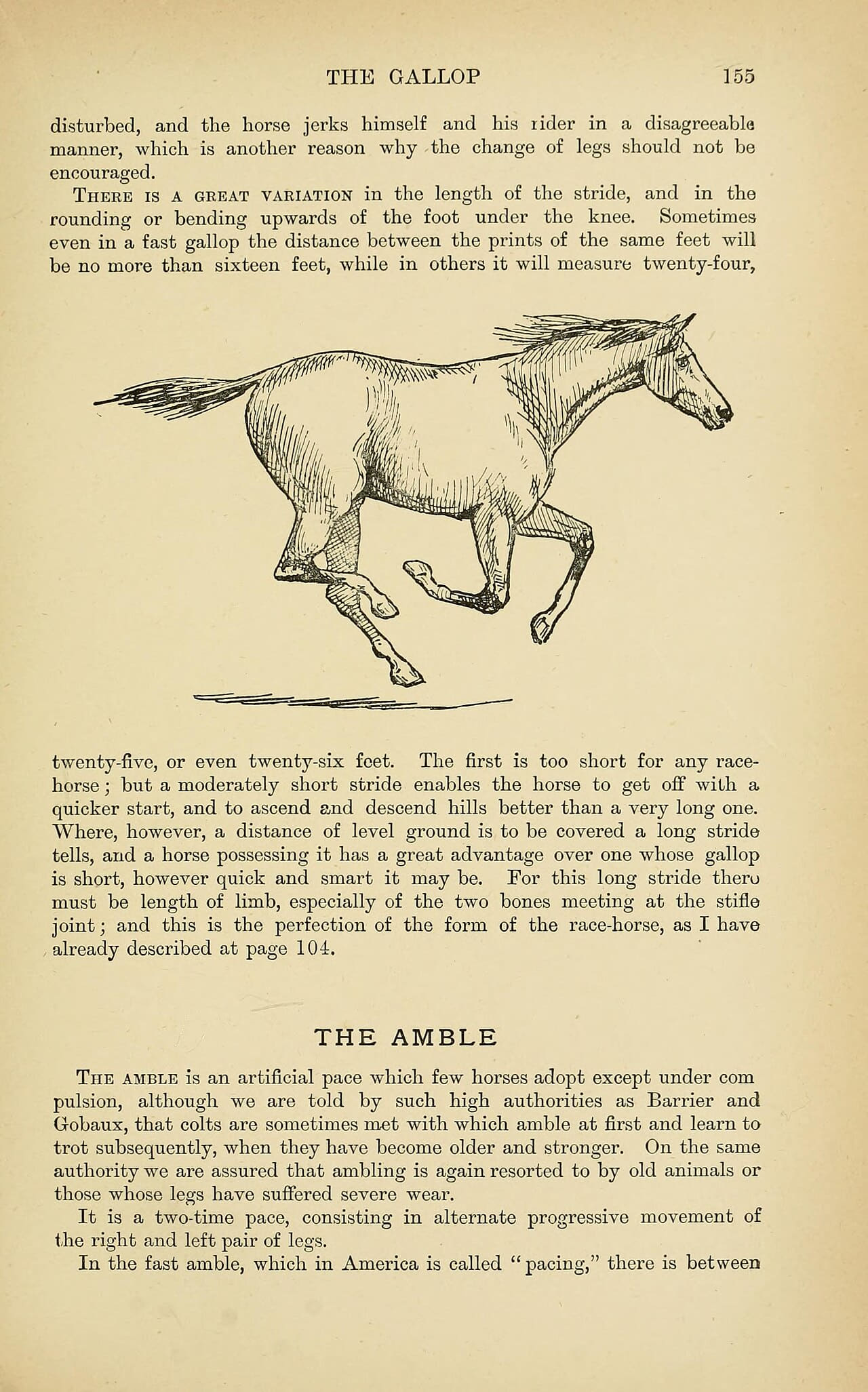 The horse in the stable and the field 4 wallpaper in blush and blush tones, Full HD, 9:16 format for phone