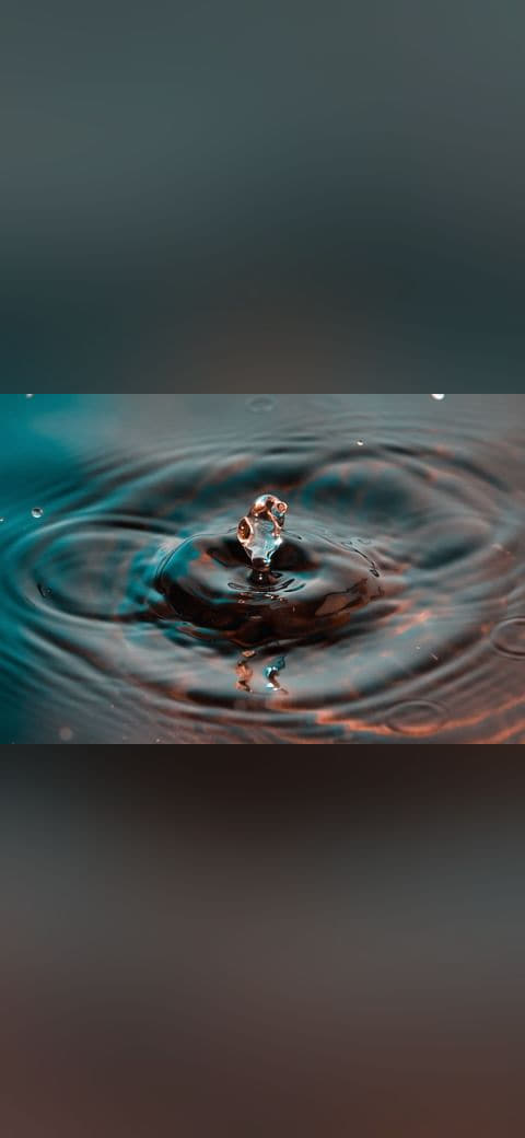 Water Dolphin wallpaper in olive and olive tones, Full HD, 4:3 format for phone
