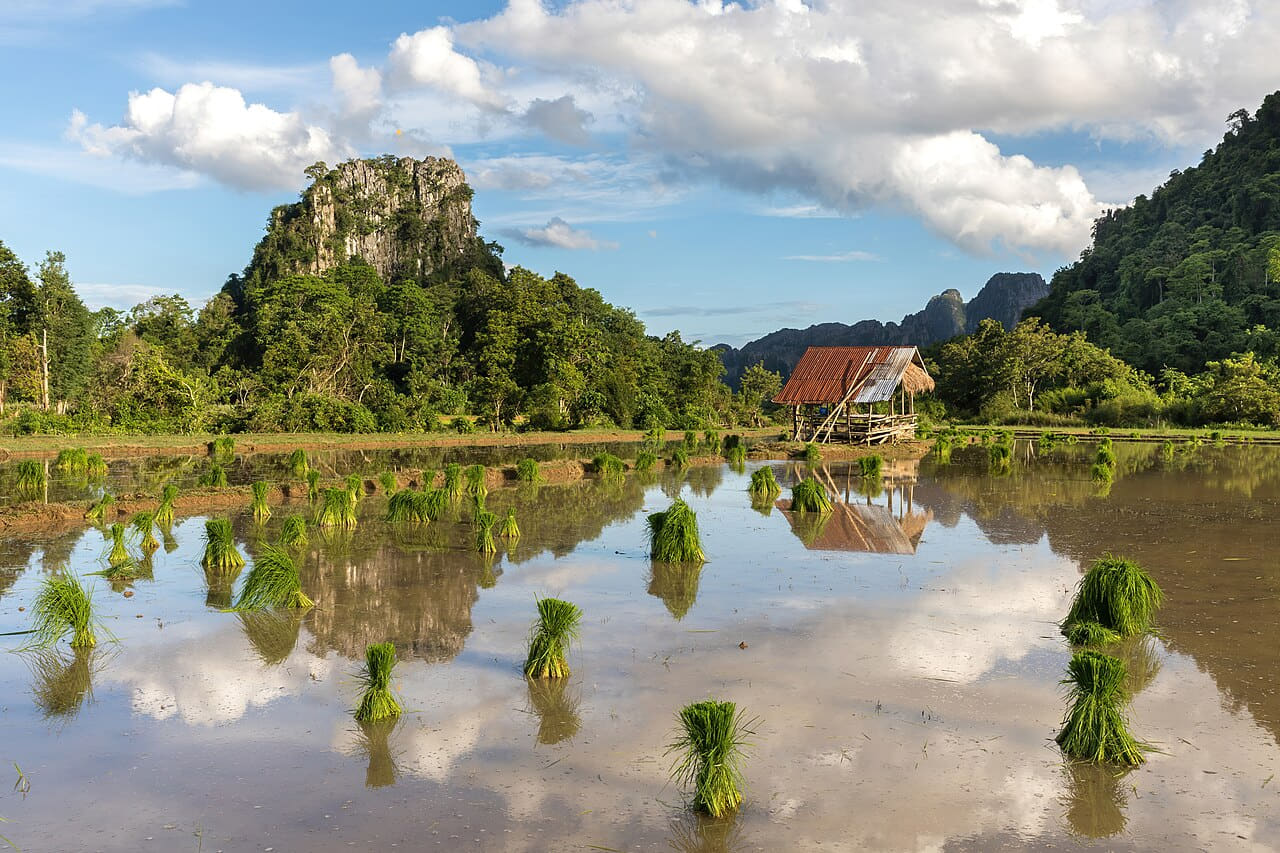 Water reflection of mountains, hut, green rice… wallpaper in olive and sky blue tones, Full HD, 4:3 format for phone