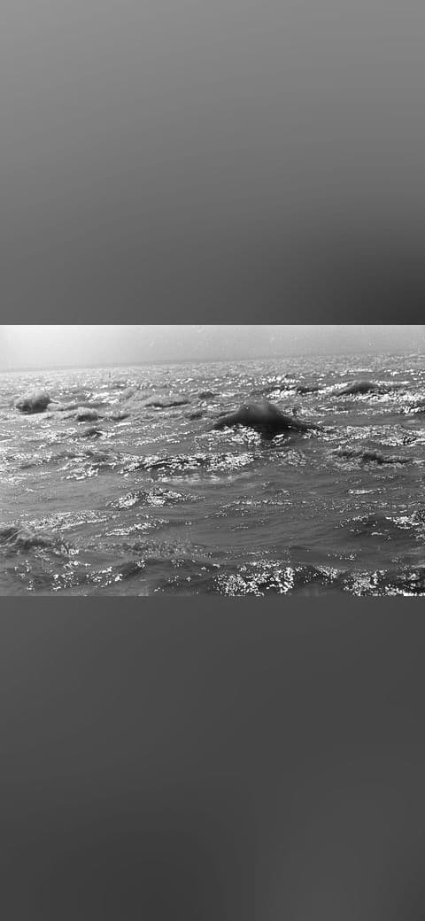 Water surface, wave Fortepan 61024 wallpaper in olive and slate tones, Full HD, 16:9 format for phone