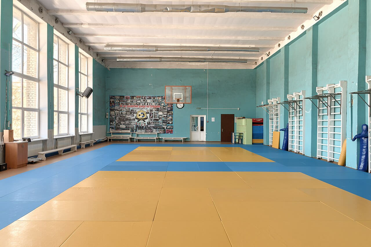 Wrestling gym wallpaper in sand and sand tones, Full HD, 4:3 format for phone