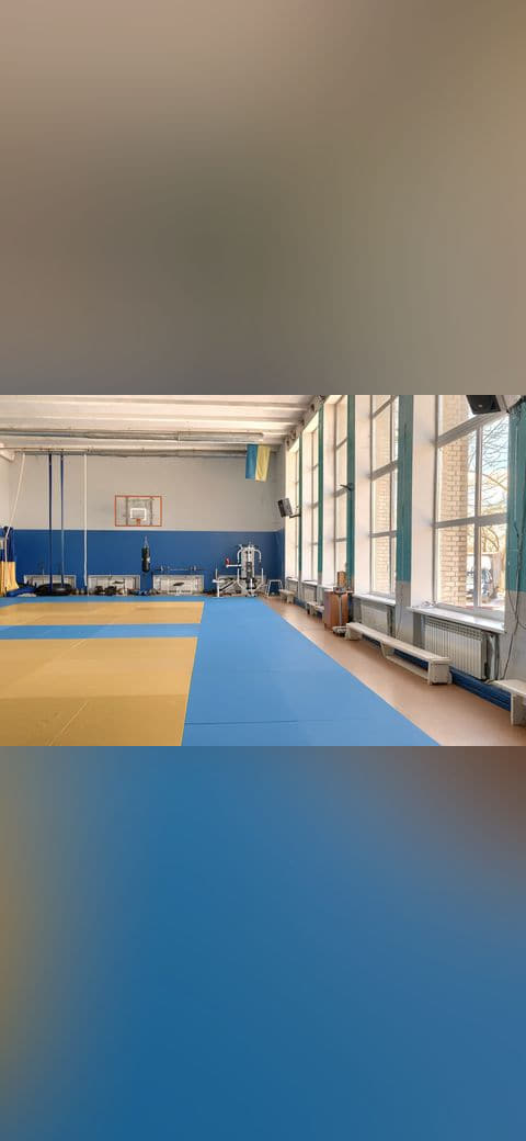 Wrestling gym 14 wallpaper in sand and sand tones, Full HD, 4:3 format for phone
