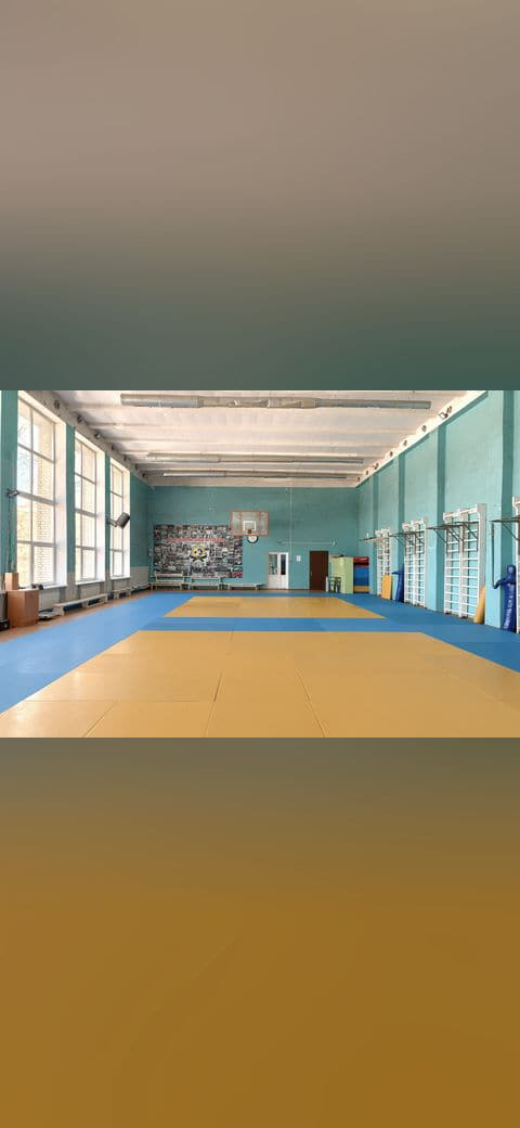 Wrestling gym wallpaper in sand and sand tones, Full HD, 4:3 format for phone