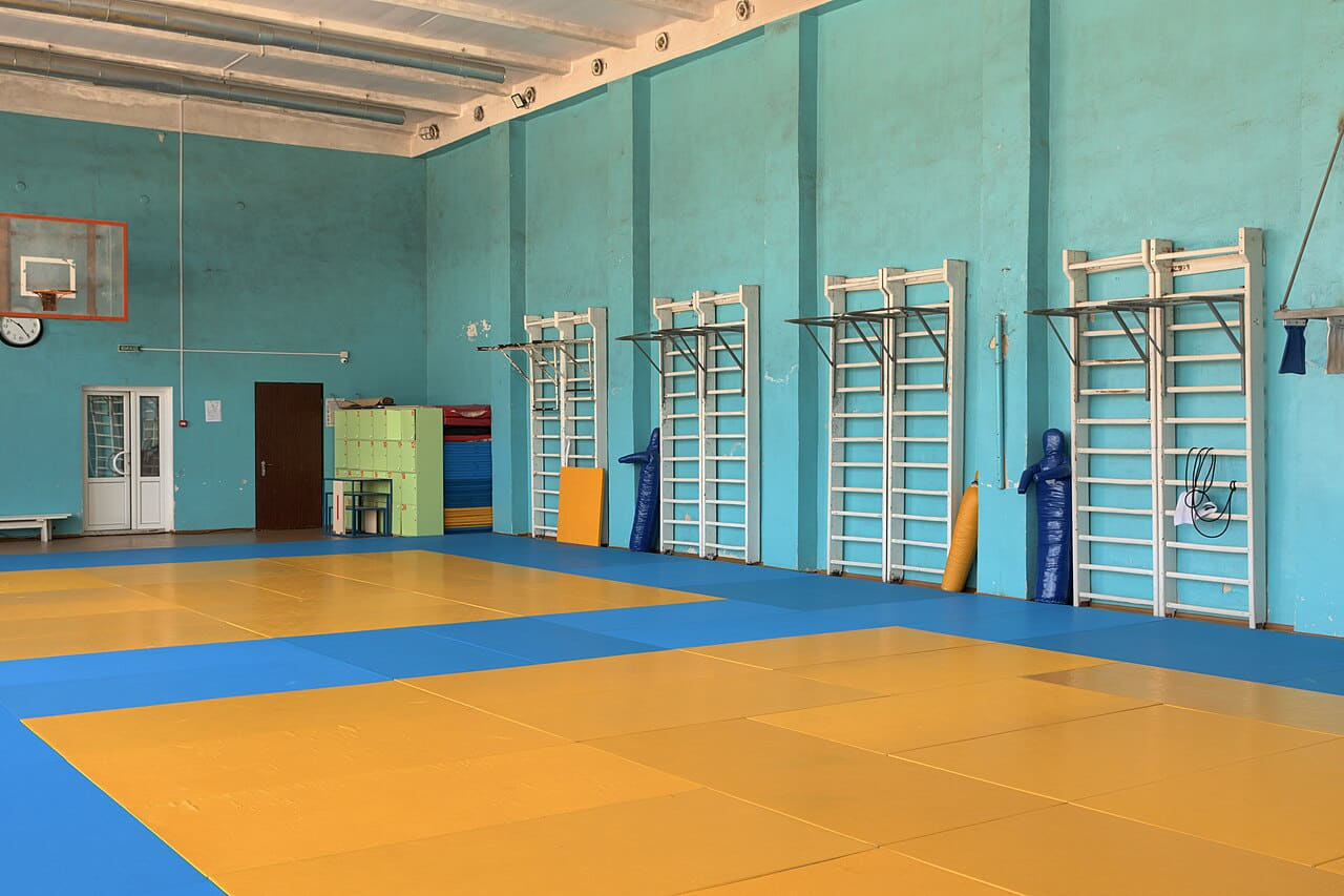 Wrestling gym 4 wallpaper in sand and sage green tones, Full HD, 4:3 format for phone