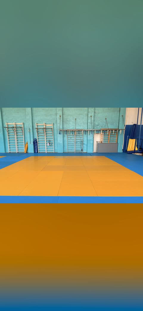 Wrestling gym 7 wallpaper in amber and sand tones, Full HD, 4:3 format for phone