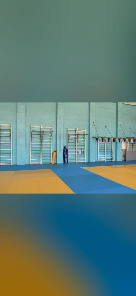 Wrestling gym 9 wallpaper in sage green and sage green tones, Full HD, 4:3 format for phone