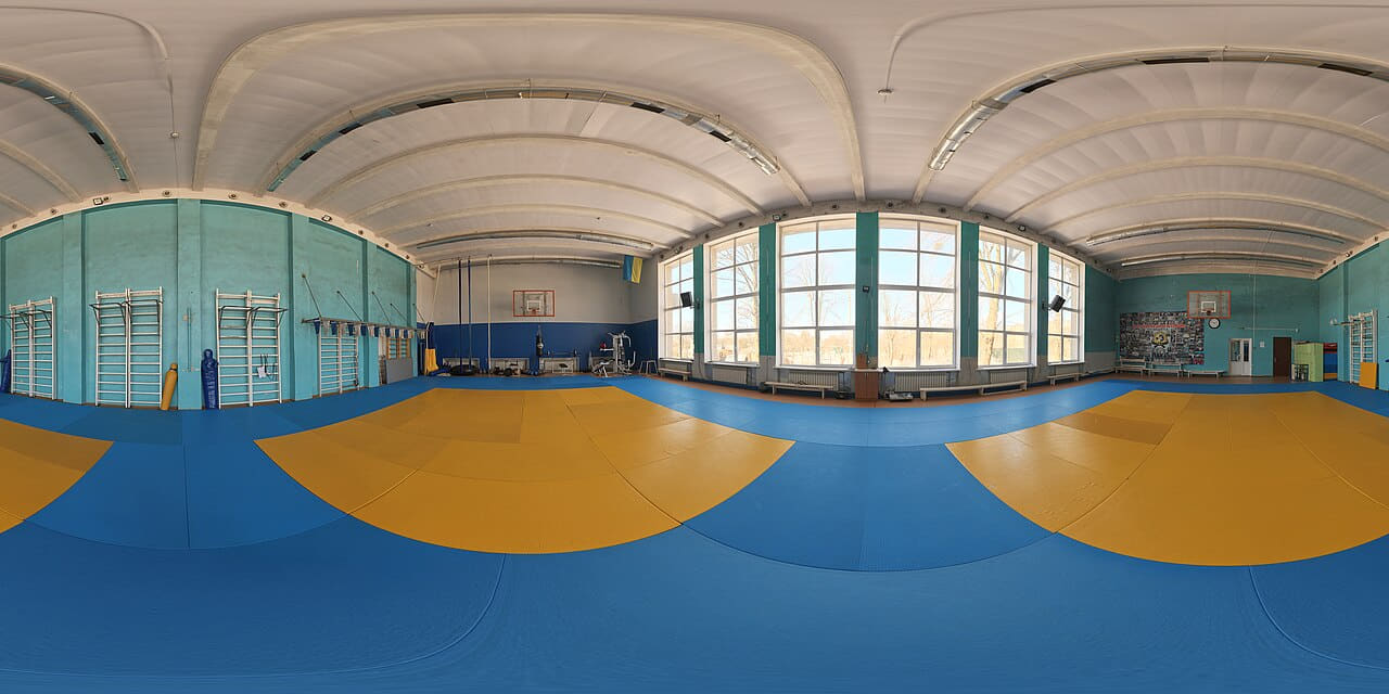 Wrestling gym panorama wallpaper in steel blue and sage green tones, Full HD, 16:9 format for phone