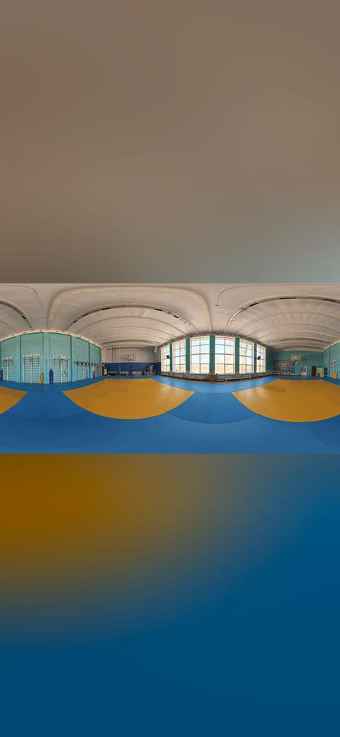Wrestling gym panorama wallpaper in steel blue and sage green tones, Full HD, 16:9 format for phone